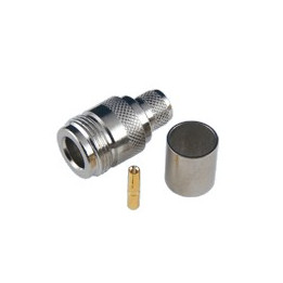 11-14T-RPTGN